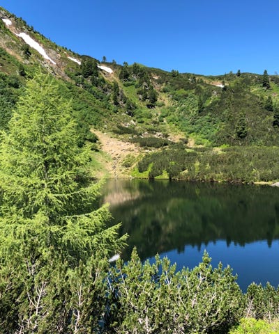 Wandern Schladming Dachstein Sommercard